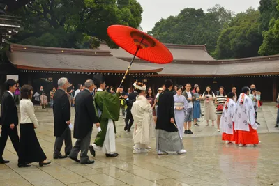 DSC_3314 (Large).JPG